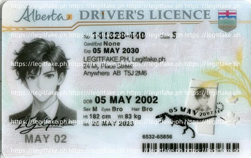 Buy Alberta ID Fake ID Online