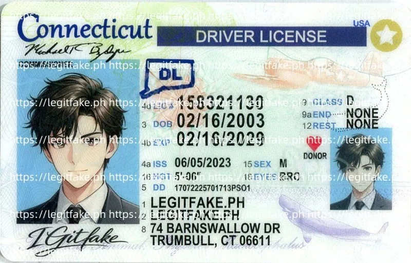 Buy Connecticut ID Fake ID Online