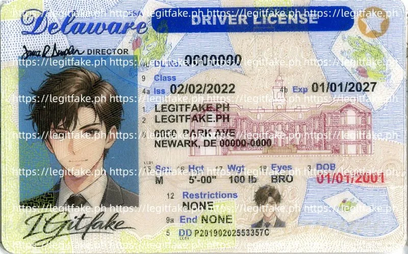 Buy Delaware ID Fake ID Online