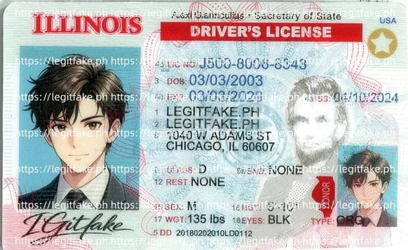 Buy Illinois ID Fake ID Online