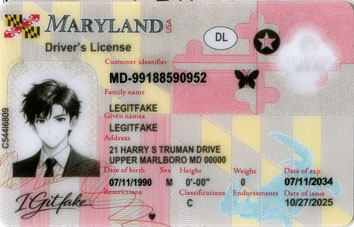 Buy Maryland New- October 2, 2025 Fake ID Online