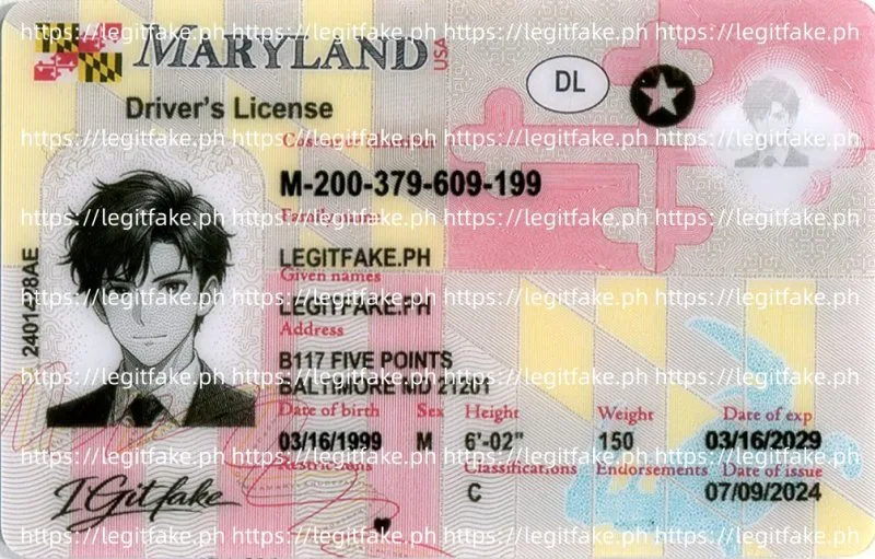 Buy Maryland ID Fake ID Online