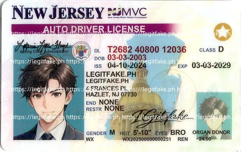 Buy New Jersey ID Fake ID Online
