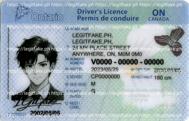 Buy Ontario(CAN ON) ID Fake ID Online