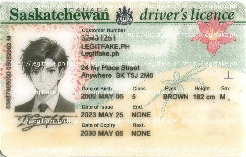 Buy Saskatchewan ID Fake ID Online