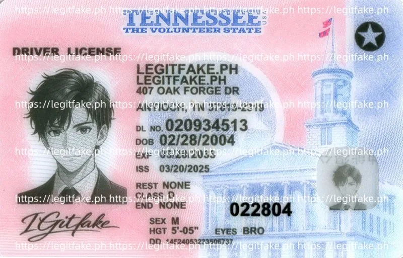 Buy Tennessee ID Fake ID Online